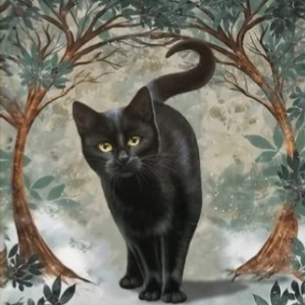 Meet your Posher, Merchant